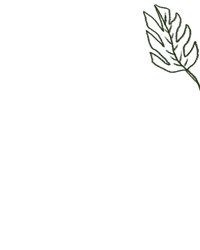 a green leaf on a black background