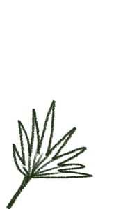 a green leaf on a black background